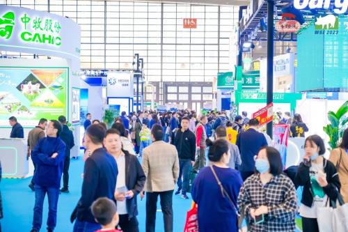 XPJ(中国区)有限公司