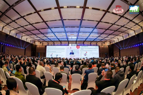 XPJ(中国区)有限公司